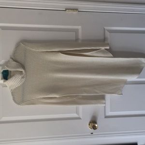 express turtle neck sweater dress